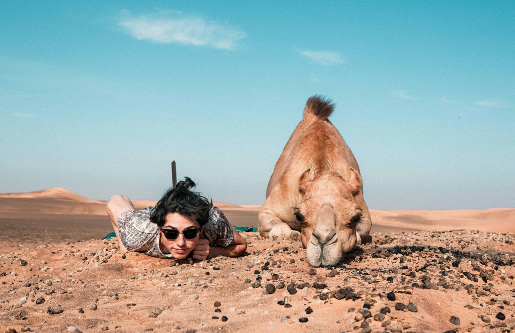 Fun travel camel Travel trends