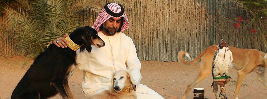 UAE saluki center saluki-UAE