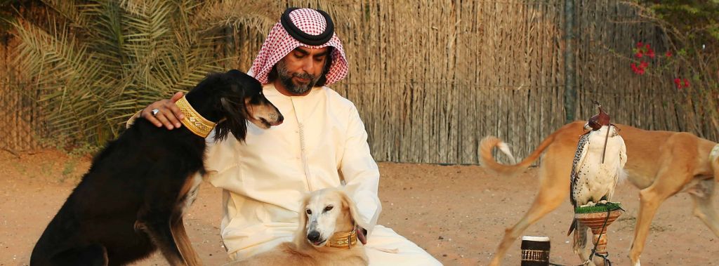 saluki-UAE