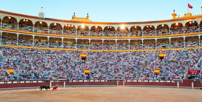 bullfighting