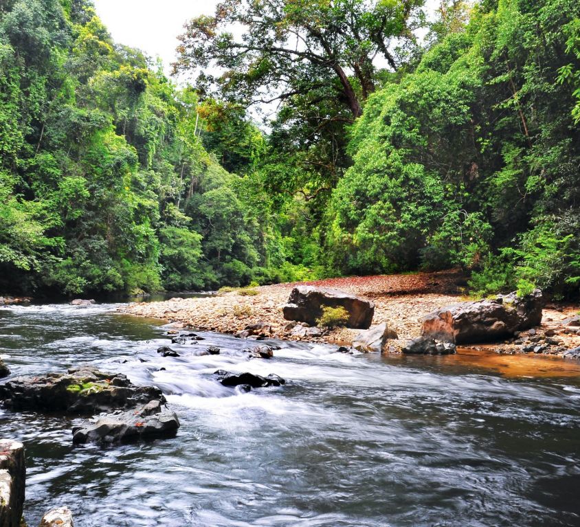 Tahan River at Taman Negara