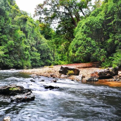 Tahan River at Taman Negara