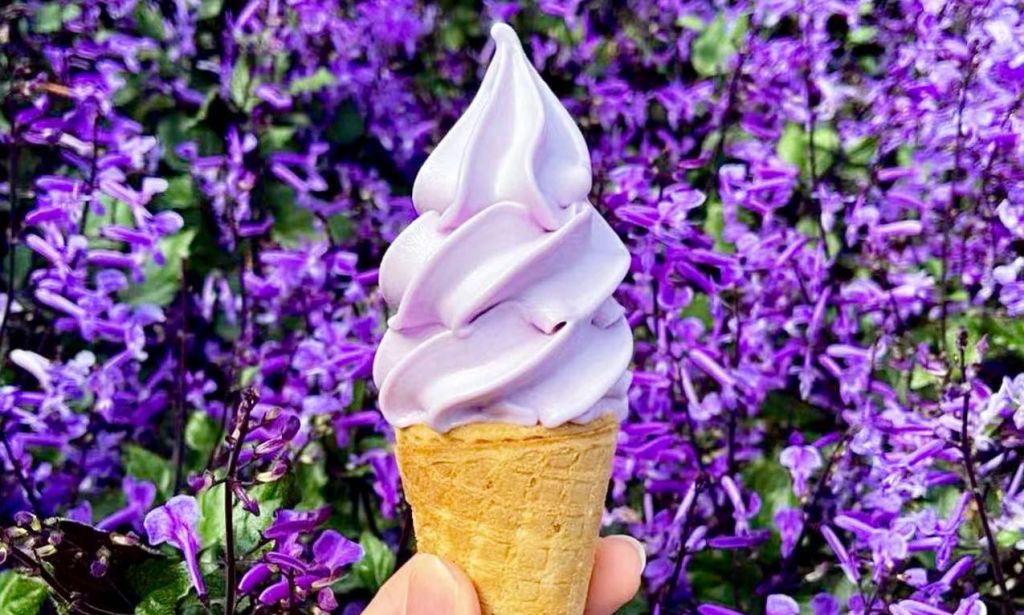 lavender ice cream cameron highlands