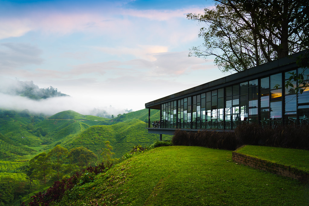 lookout deck boh tea plantation cameron highlands