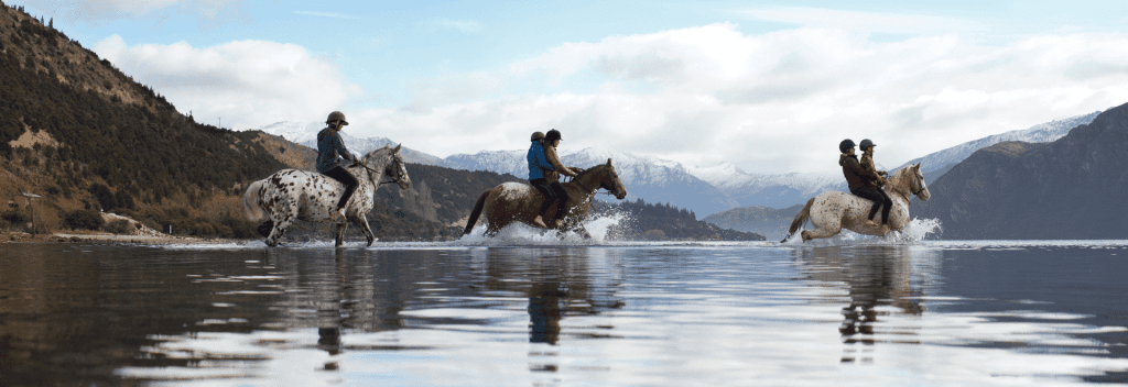 Travel New Zealand can be done on horseback