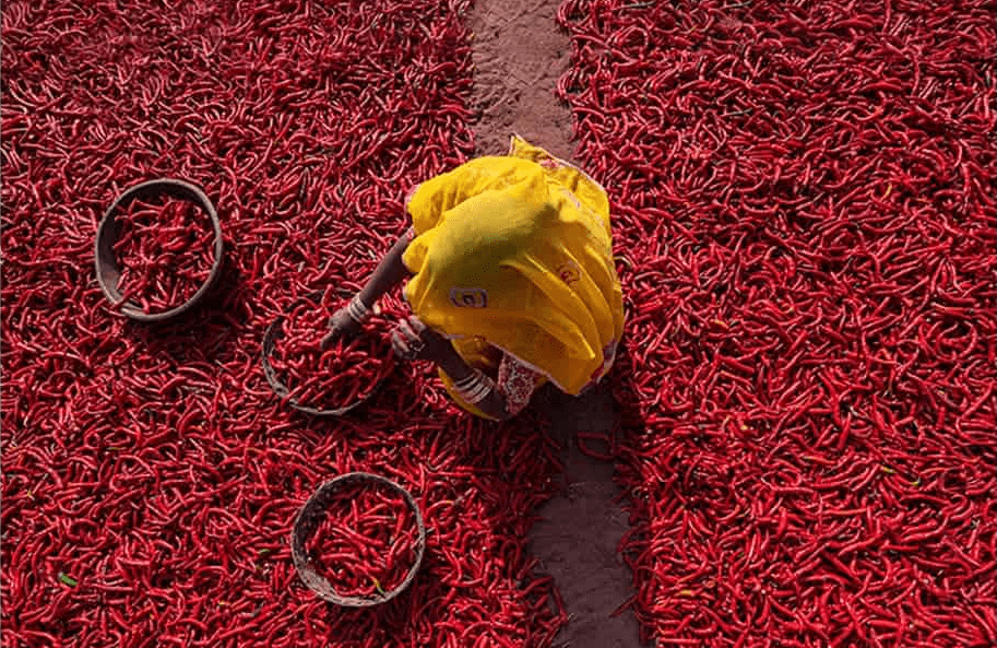 India Travel India Travel: Spices everywhere
