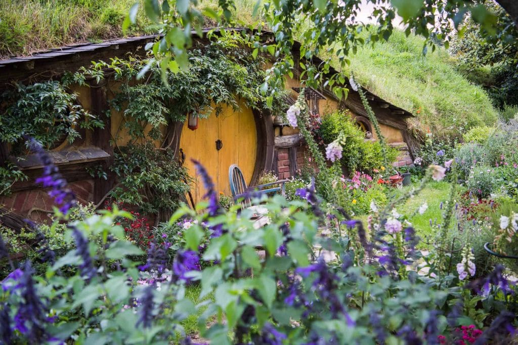 Things to do in New Zealand: Visit Hobbiton