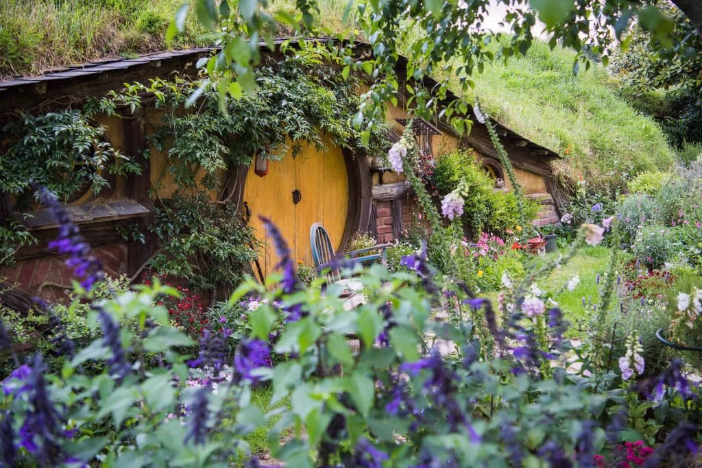 New Zealand Hobbiton Things to do in New Zealand: Visit Hobbiton