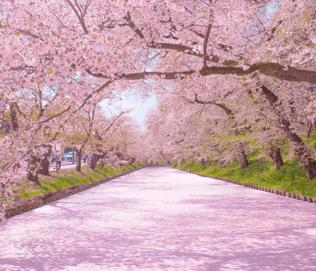 spring in Japan