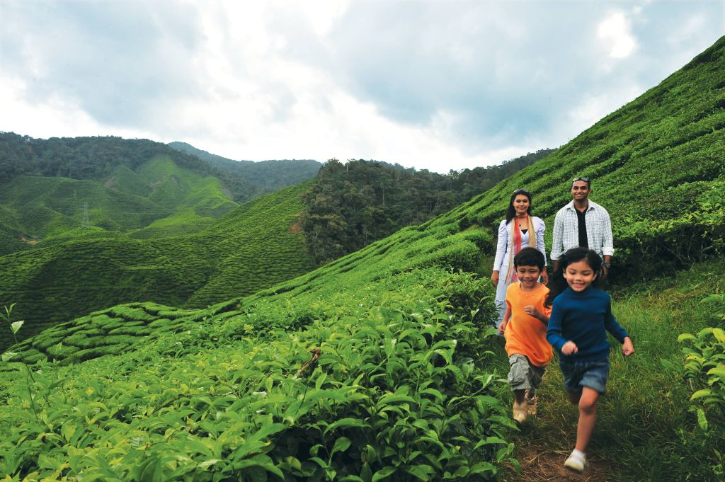 Cameron Highlands