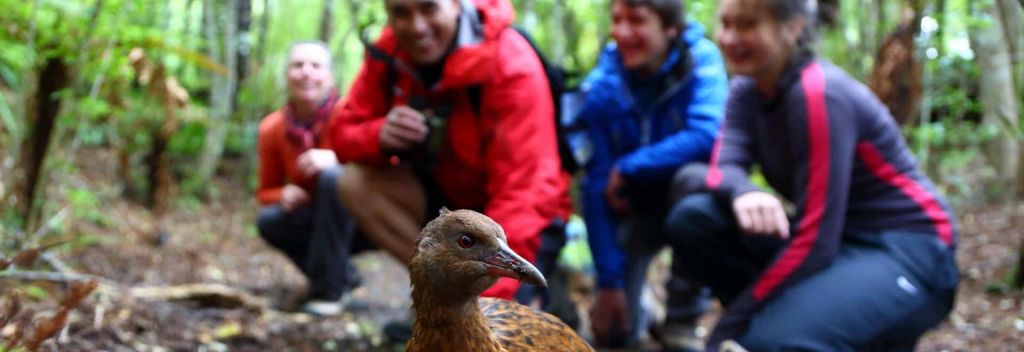 New Zealand Travel: Spend a few days on Stewart Island