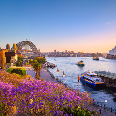 sydney-nsw-06-jacaranda-trees