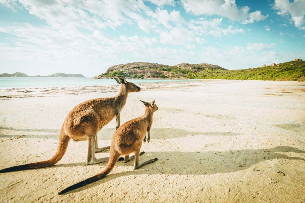 Travel News Australia