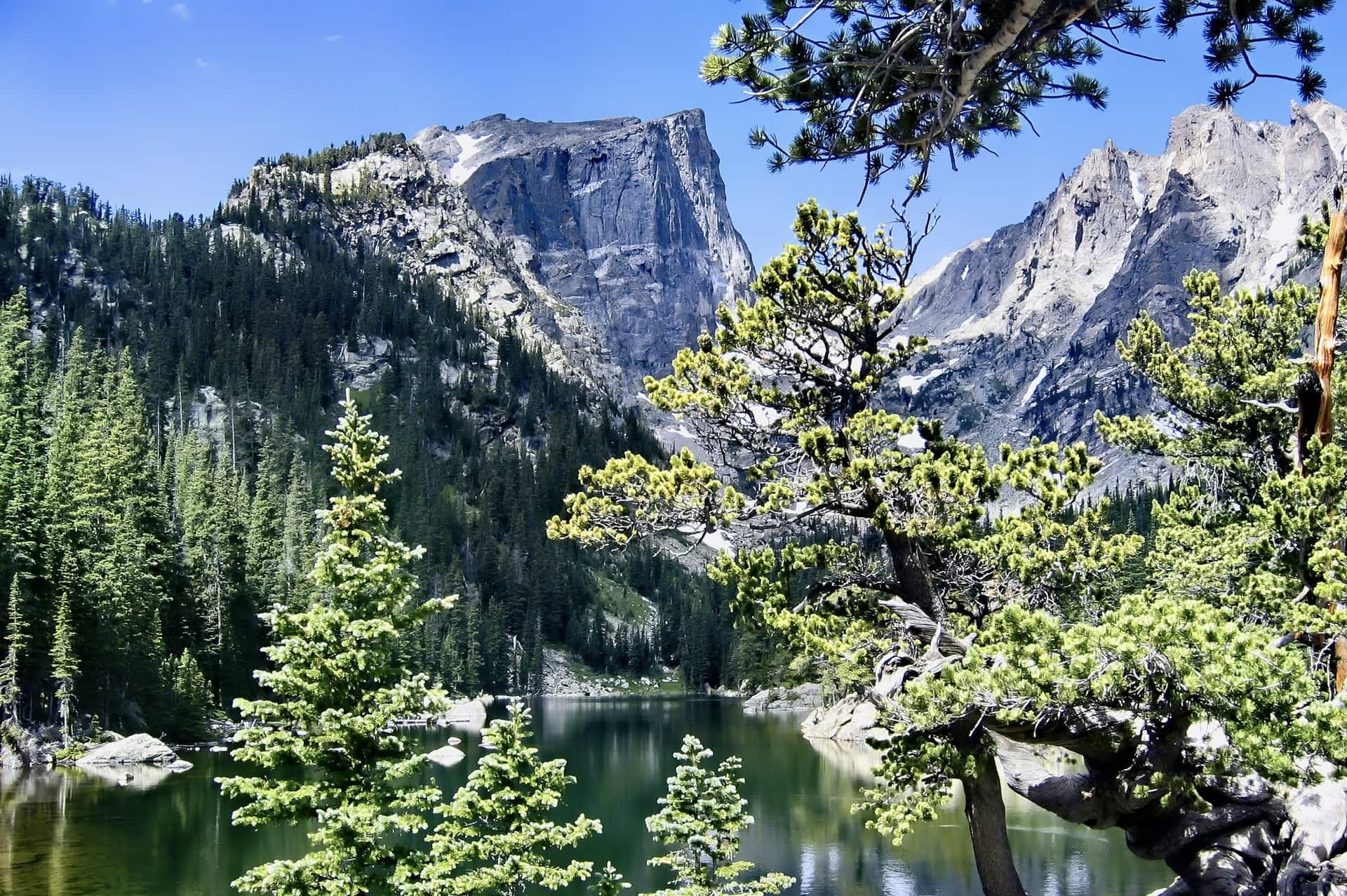 Rocky Mountain USA 2 Rocky Mountain USA