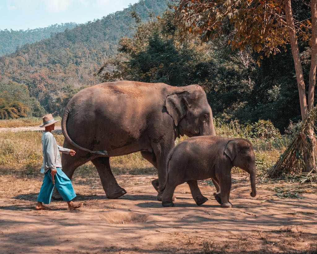 elephant sanctuary krabi