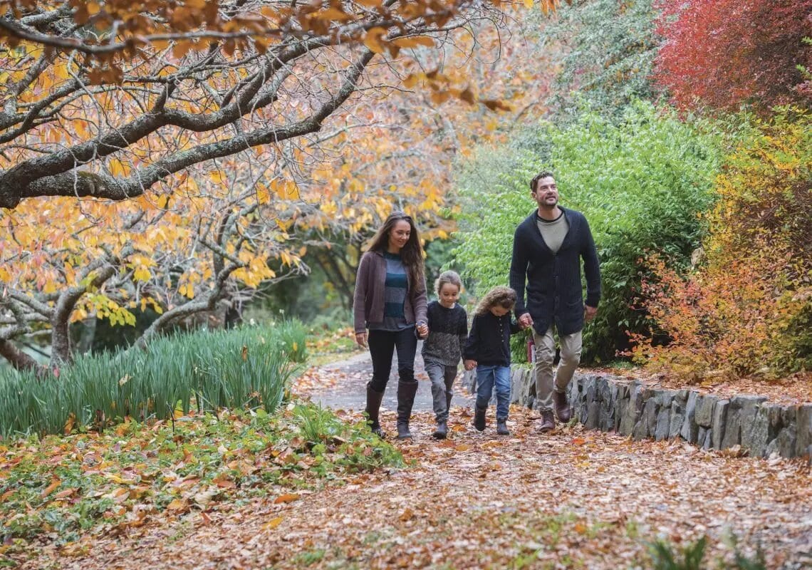 Autumn in NSW Autumn in NSW