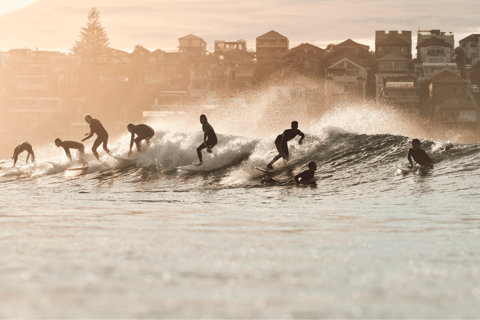 Bondi surfing