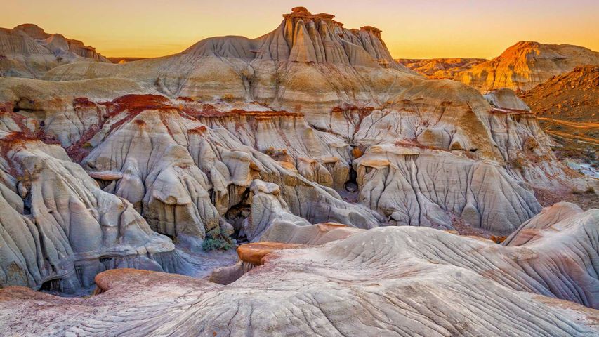 Dinosaur Provincial Park Canada