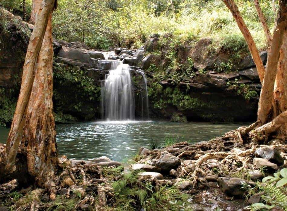 Hawaii beach and waterfalls