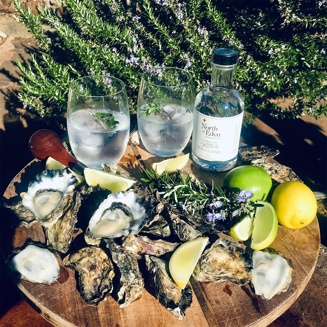 Oysters Oysters