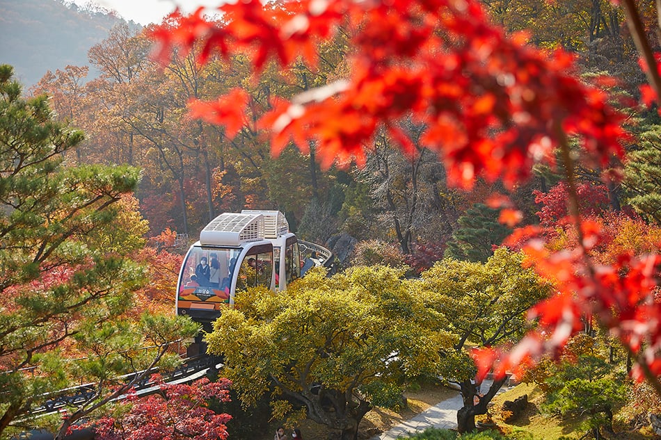 South Korea travel