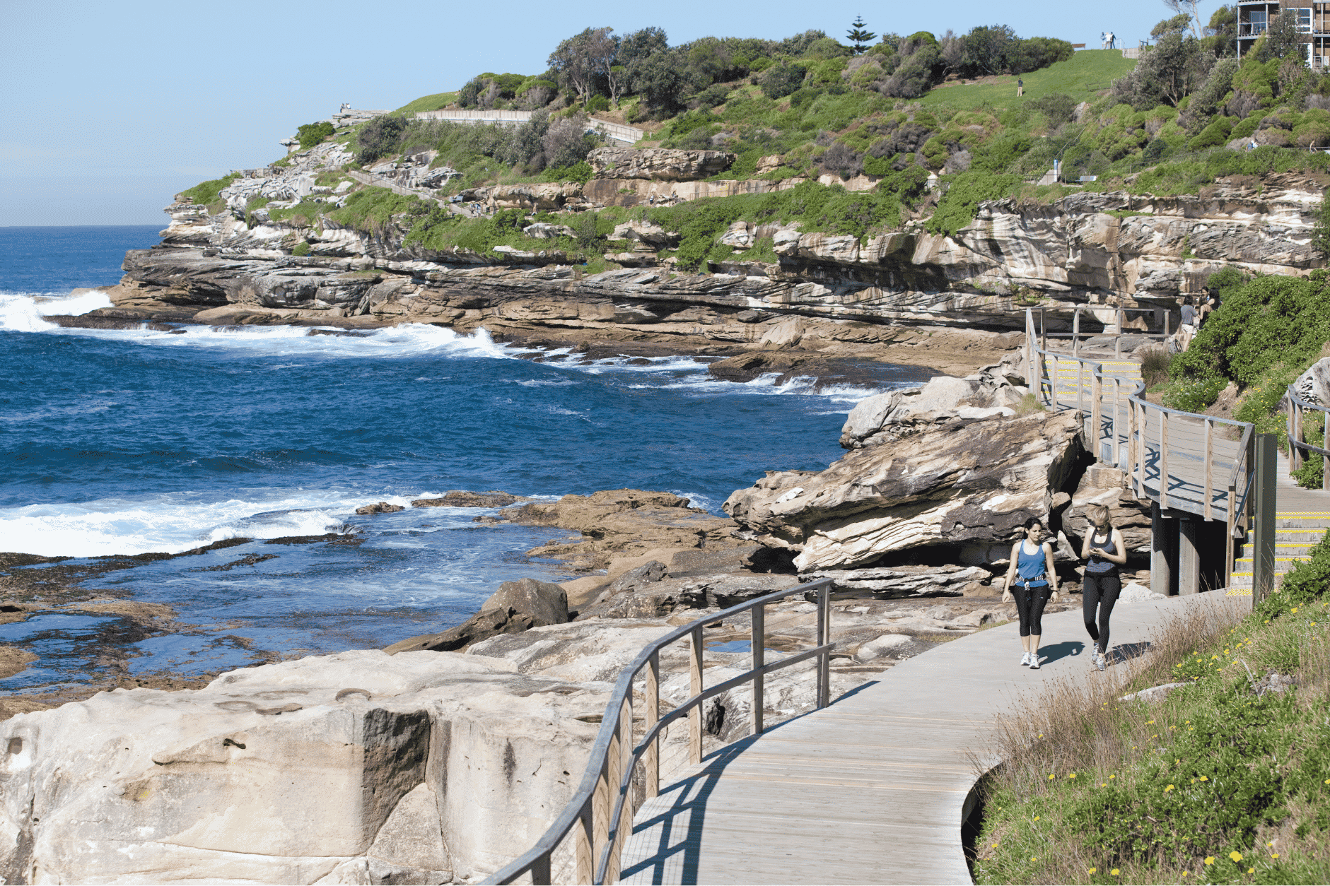 Sydney coogee walk