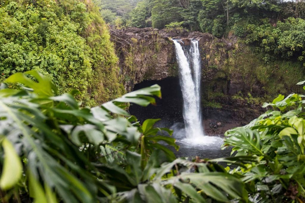 Hawaii tropical garden