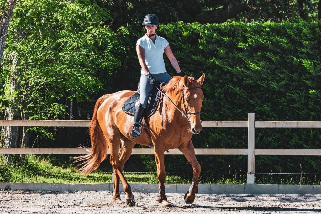 horseback riding