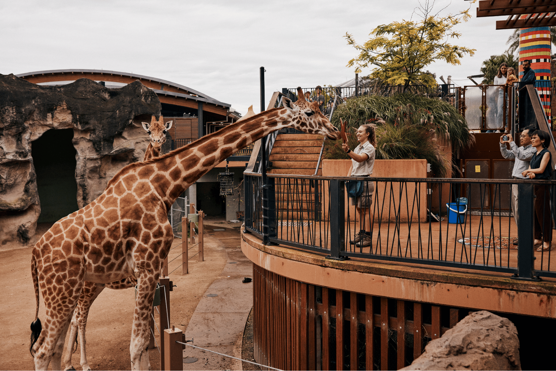 taronga zoo taronga zoo