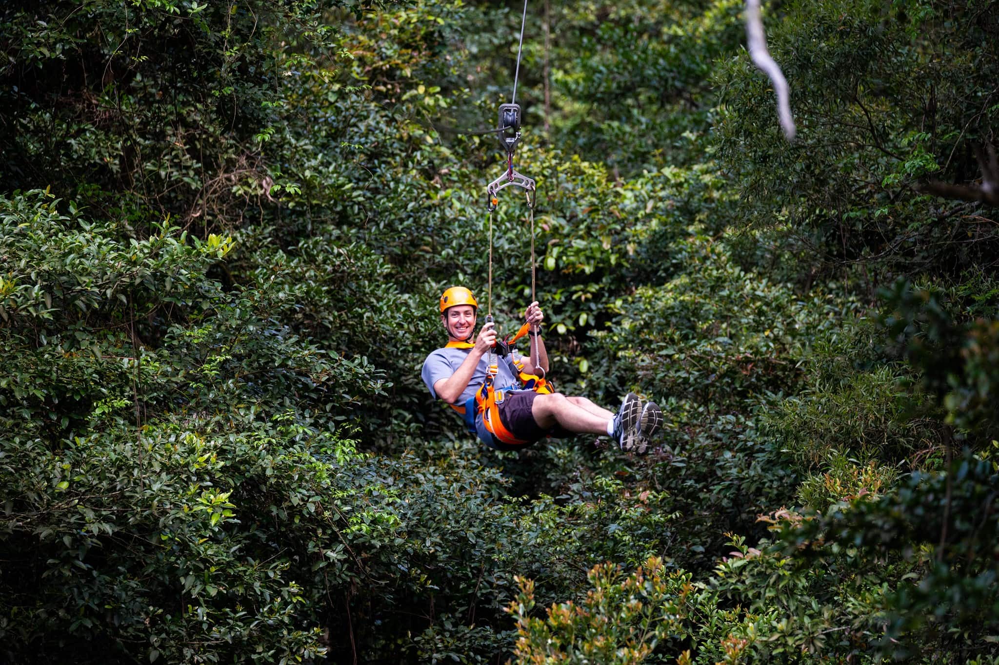 zipline