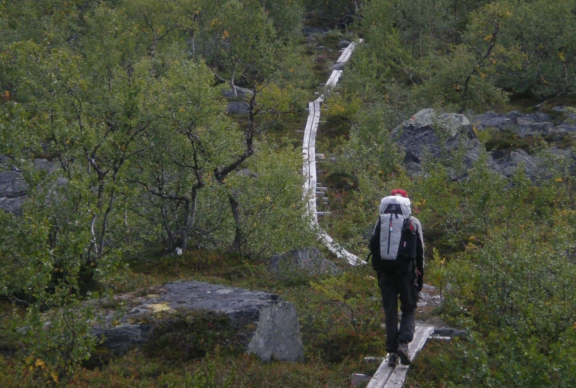 Abisko is one of the best places to see the northern lights