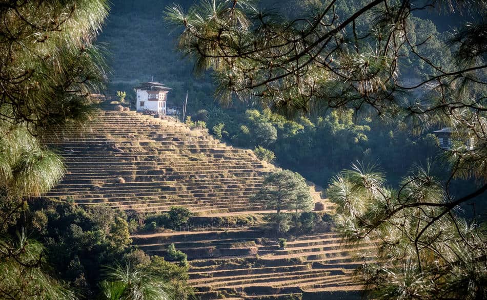 magnificent views of Bhutan