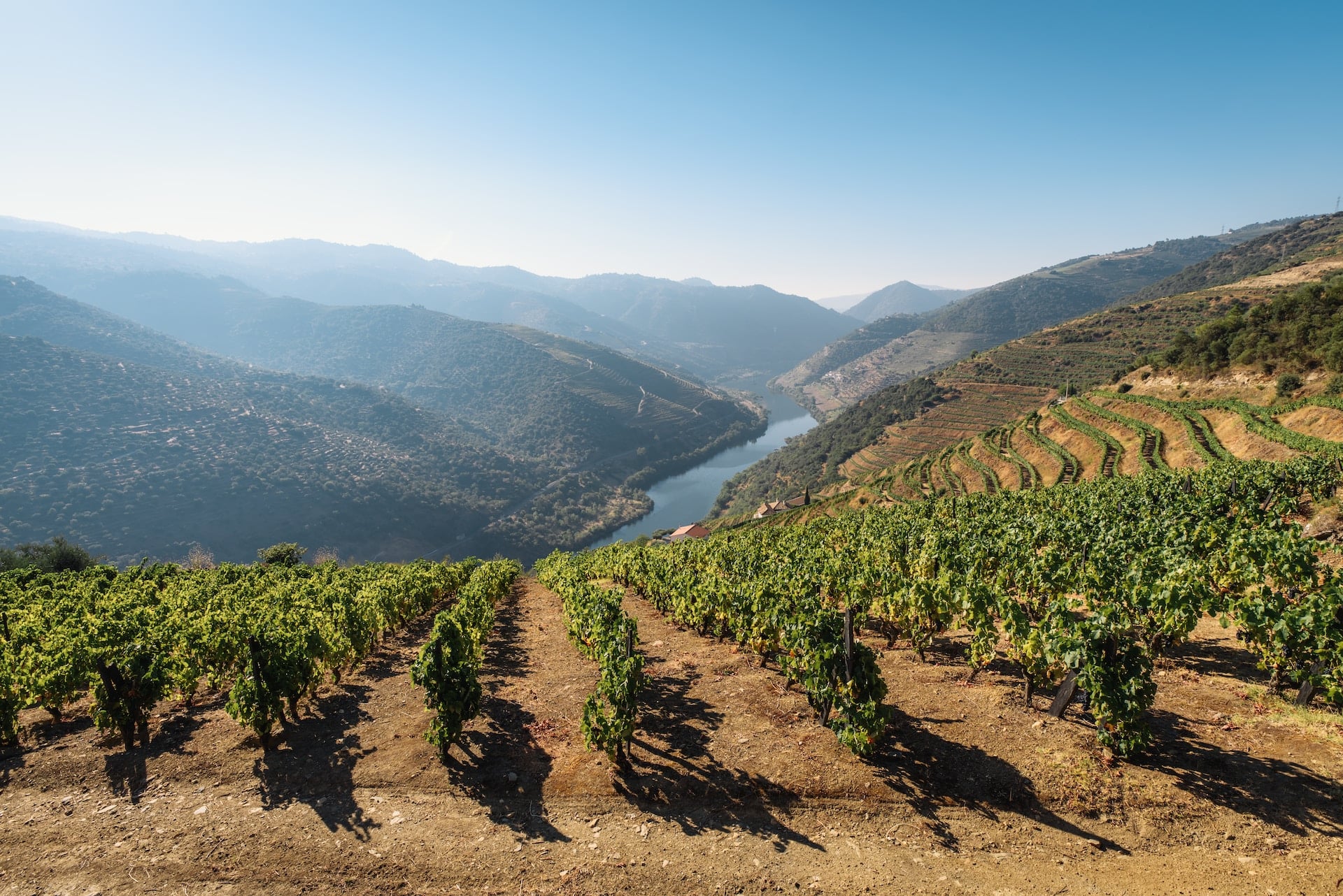 Douro Valley Portugal