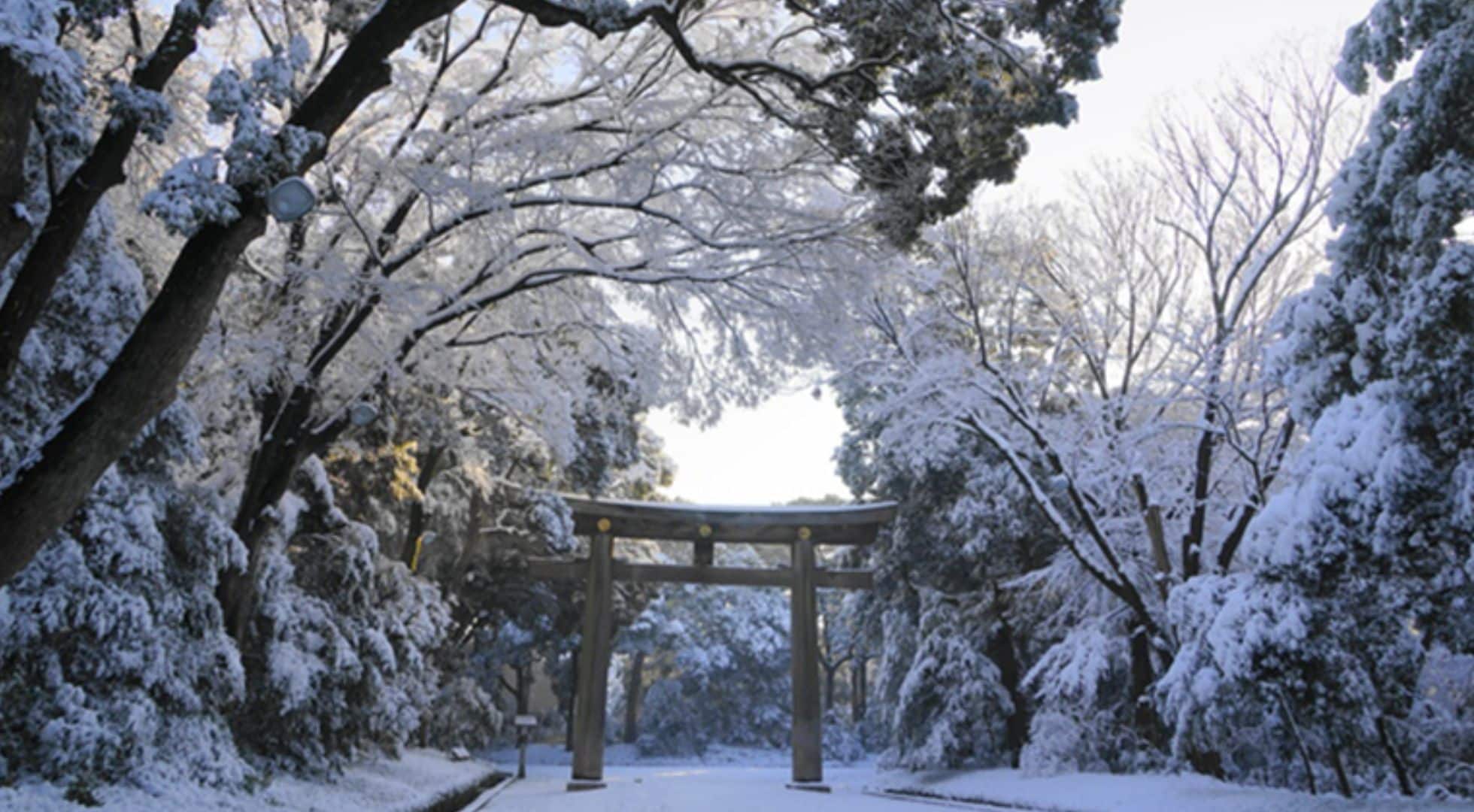 Tokyo at Night: A different world in a temple