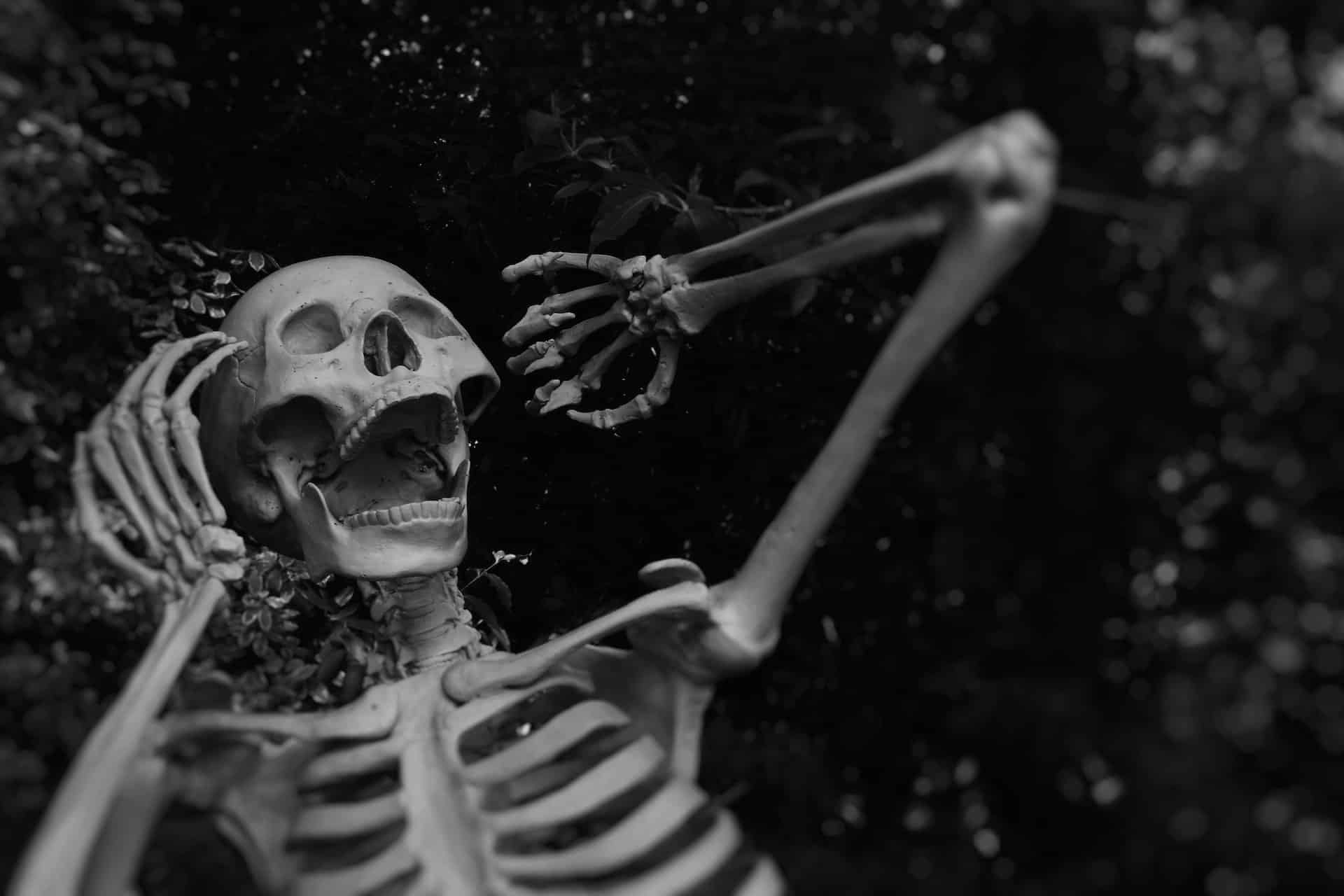 Screaming skeleton halloween