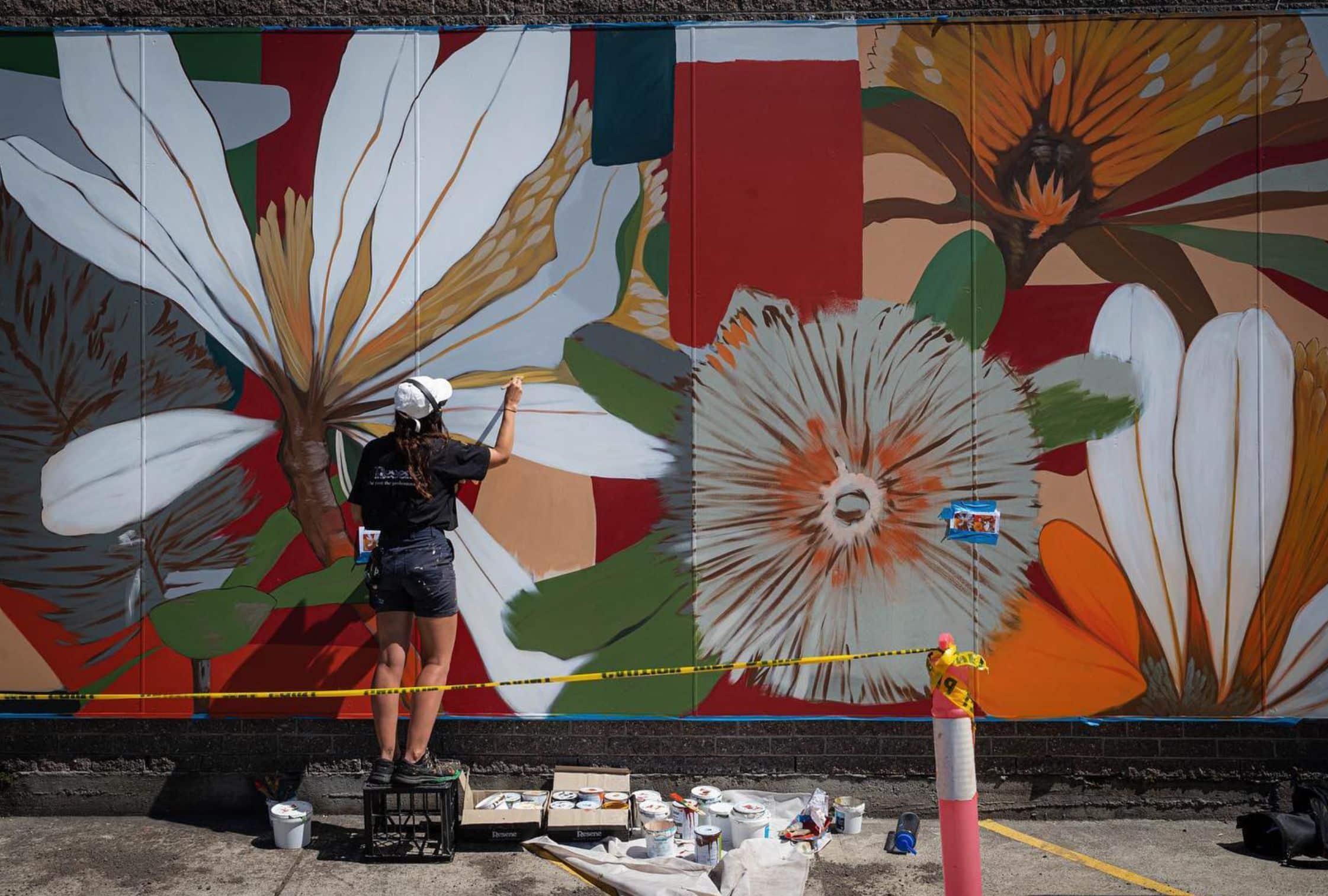 WonderwallsFestival The best street art in Sydney: Festivals