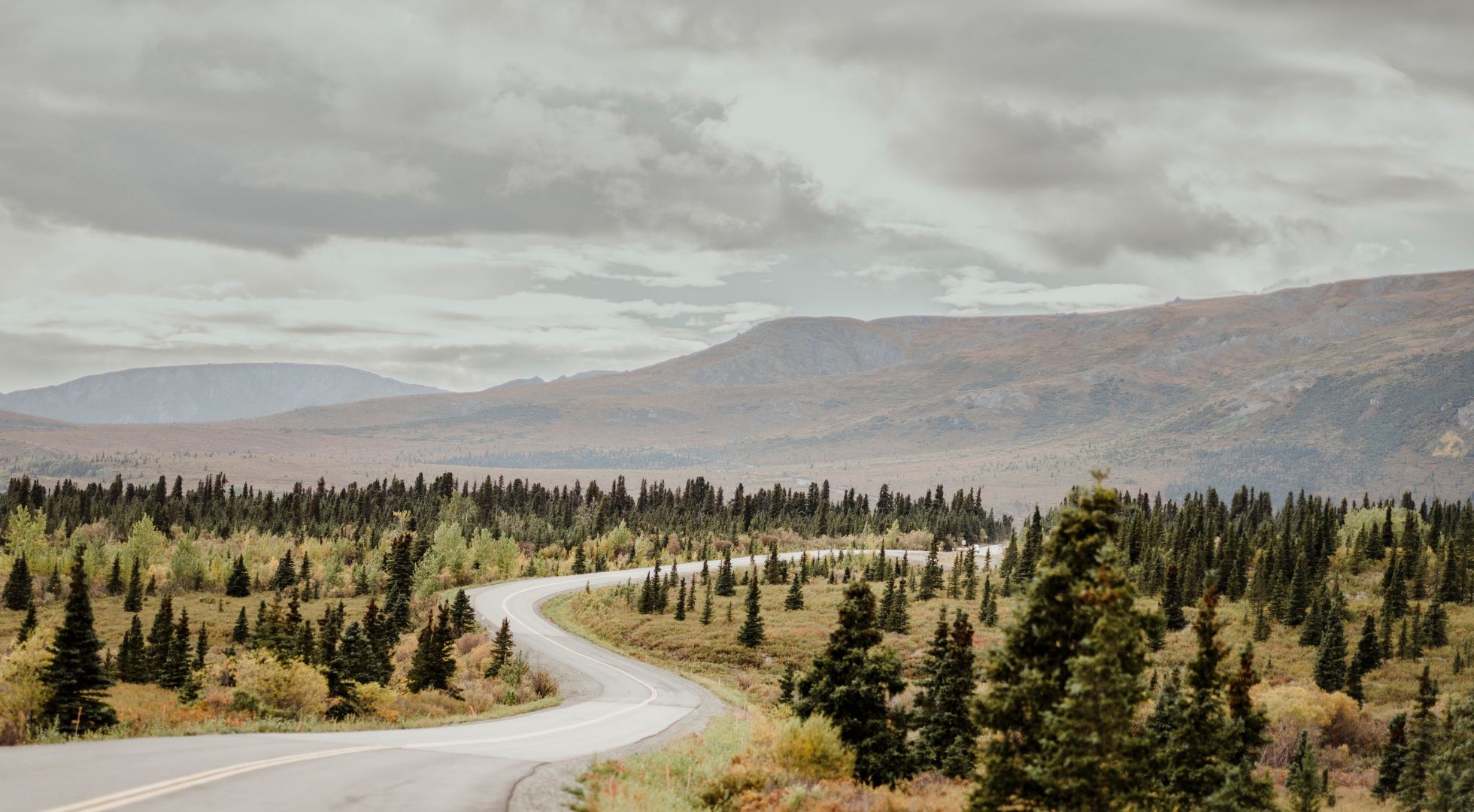 denali national park-road-alaska