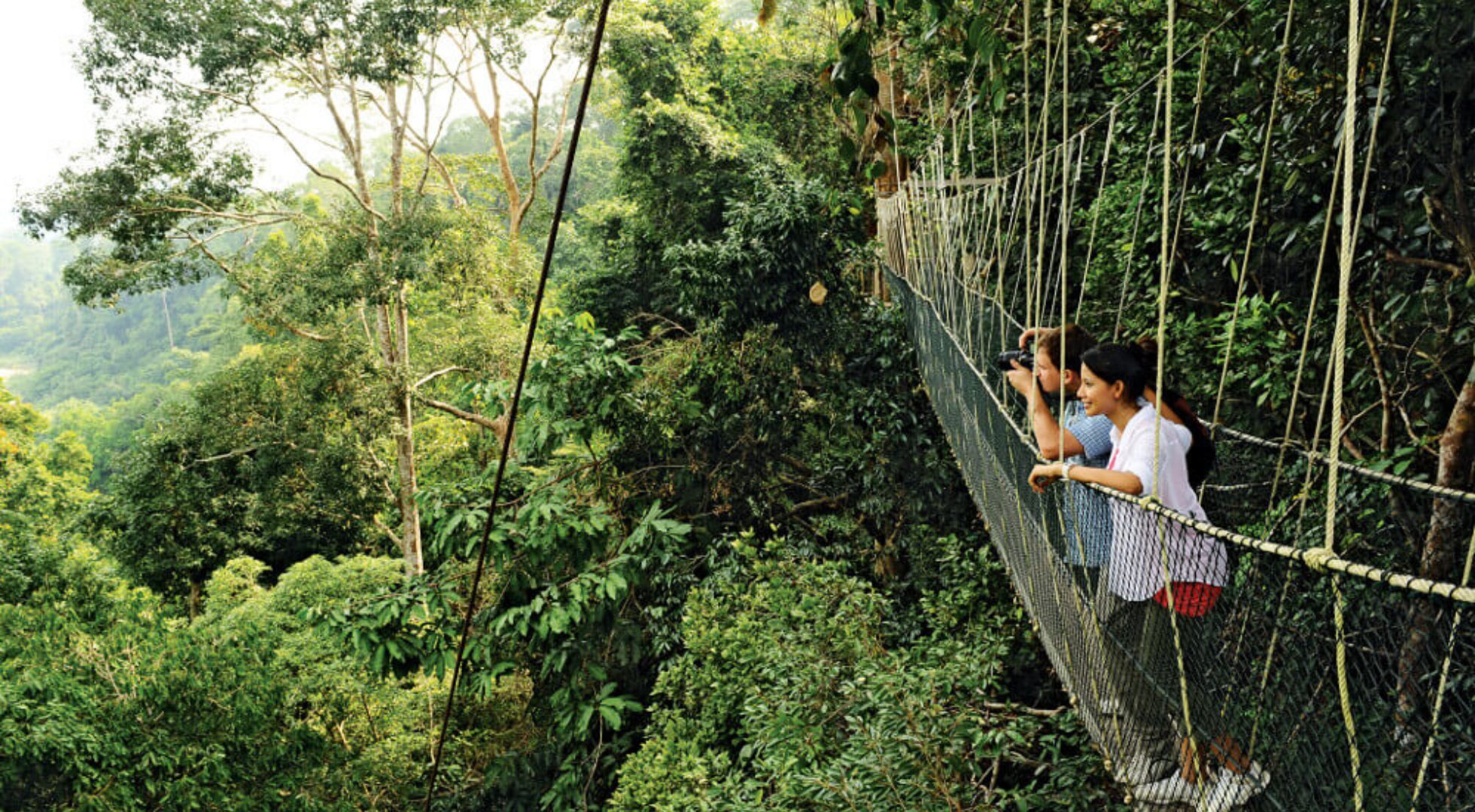 canopy_walk_pahang