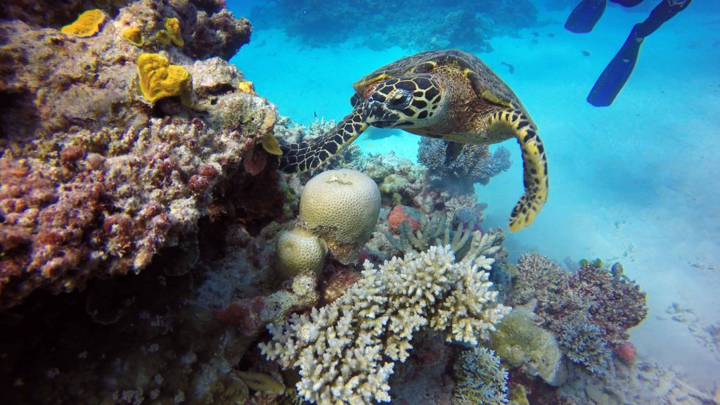 whitsundays-gbr