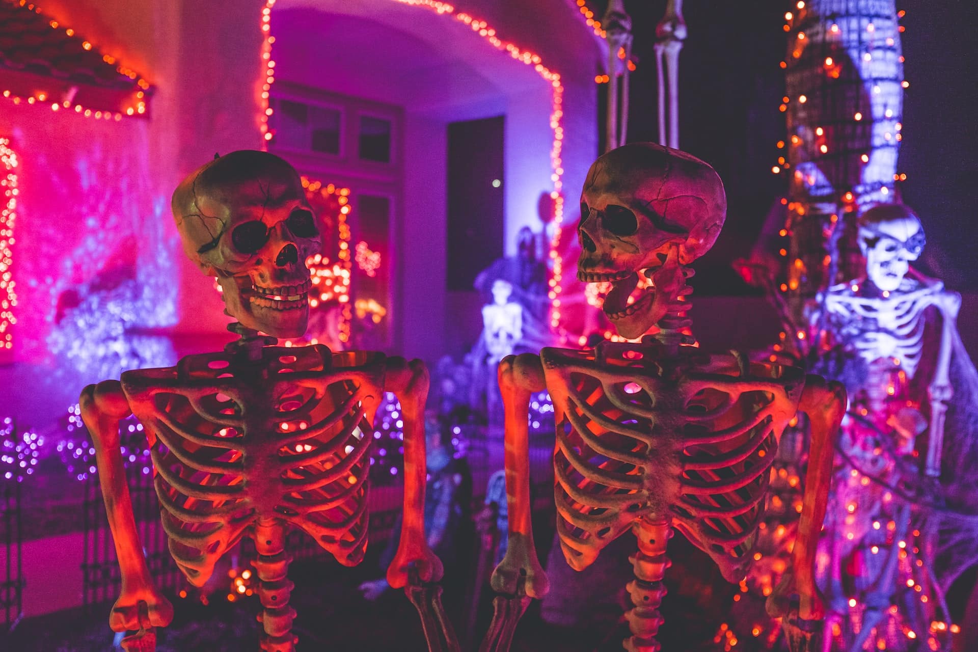 skeleton party halloween skeleton party halloween