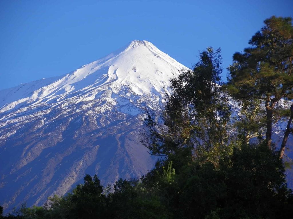 canary-teide