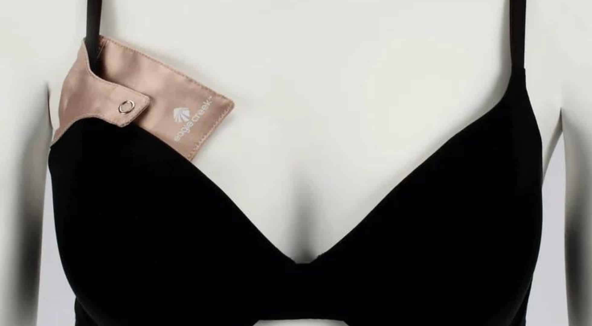 travelbrapack What to pack for travel: Bra bag for security