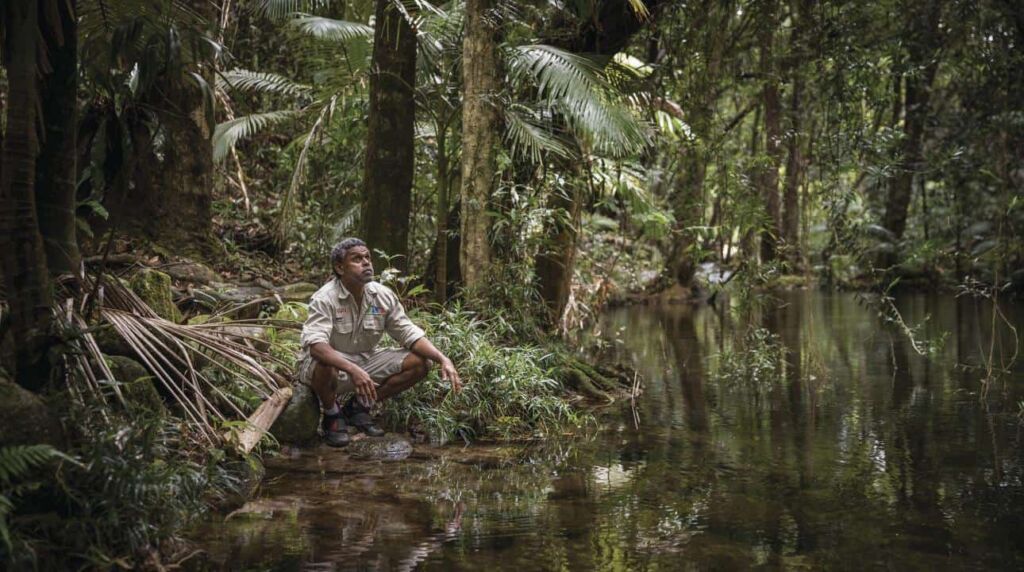 Adventure Travel: Daintree Rainforest, Australia