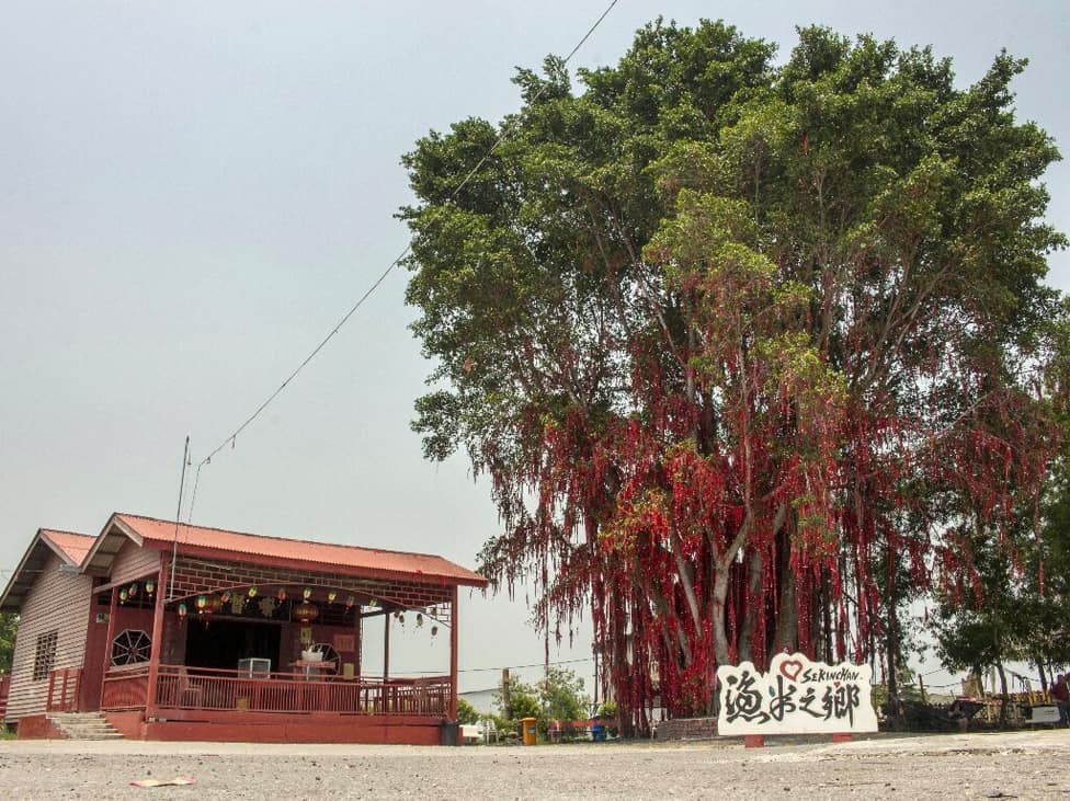 wishing-tree