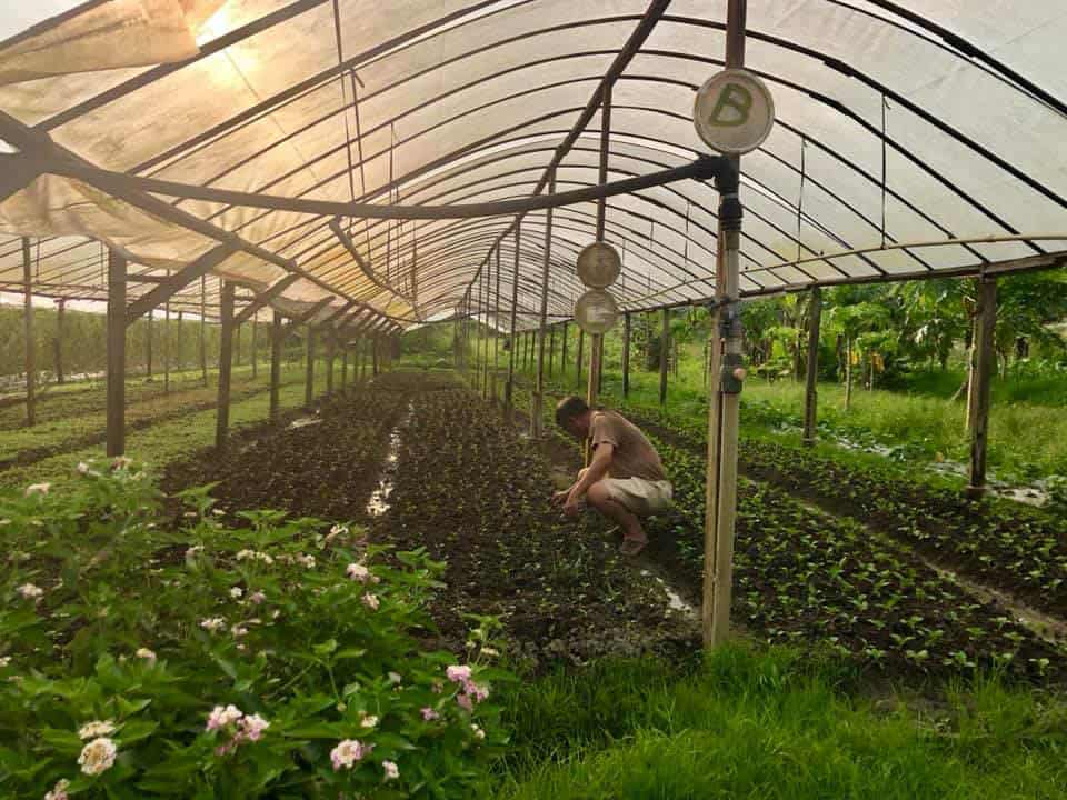 hoho farm hoho-farm