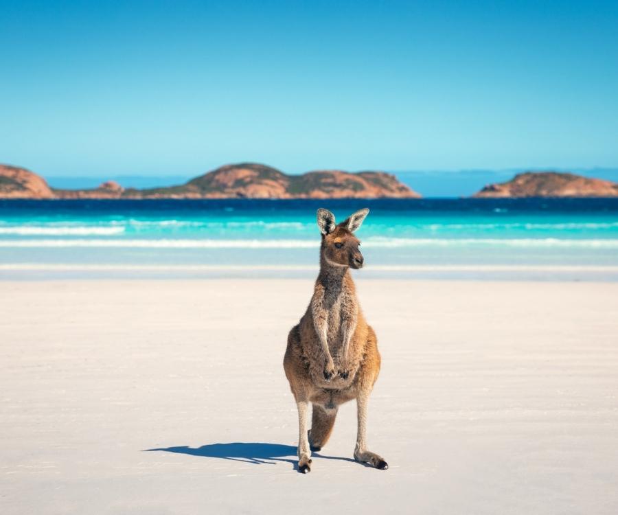 Tourism Australia Kangaroo Beach