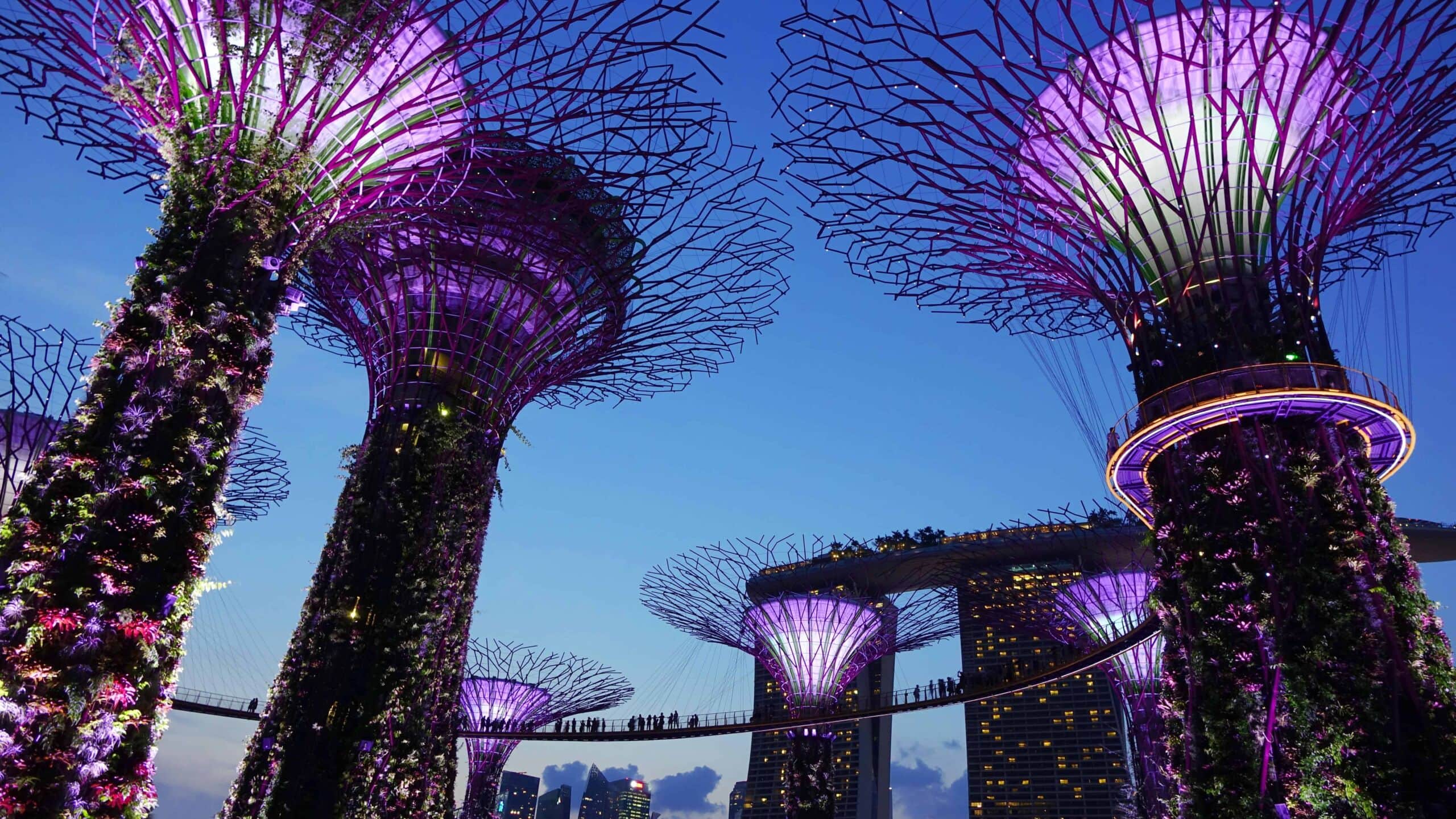 Gardens By The Bay