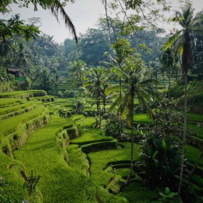 indonesia landscape