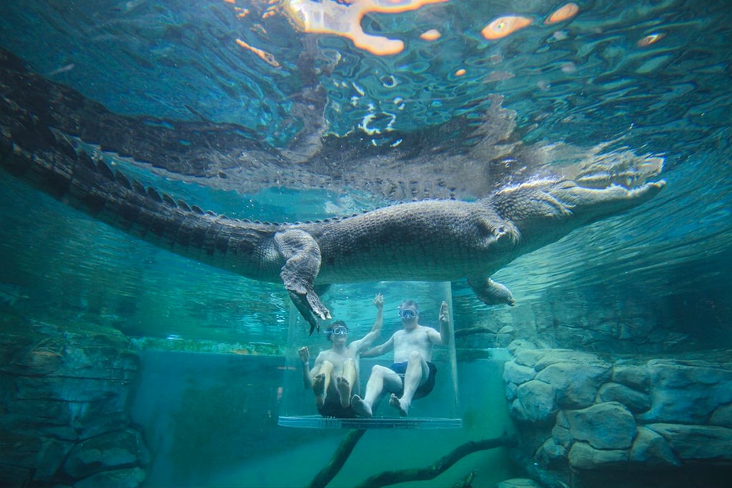 australia-darwin-crocosaurus-cove