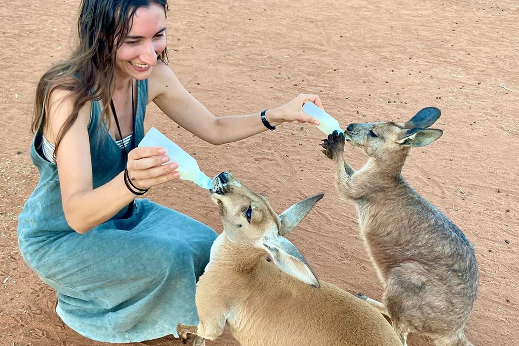 australia-northern-territory-kangaroo-sanctuary